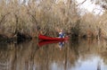 Paddling a Canoe in the Okefenokee Swamp, Georgia Royalty Free Stock Photo