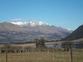 A paddock with cows, a lake, and snow-topped mountains.