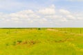 Paddock in the Flint Hills Royalty Free Stock Photo
