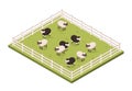 Paddock with sheeps