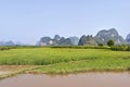 Paddy with canal on the foreground, Karst hill on the background, Yangshuo, Guangxi Province, China