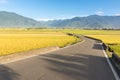 Paddy farm and country road