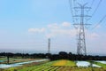 Paddy farm Rice agriculture growth countryside Probolinggo Indonesia