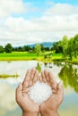 Paddy field Royalty Free Stock Photo