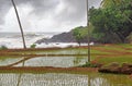 Paddy Field along Sea Coastline Royalty Free Stock Photo