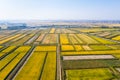 Paddy field in autumn Royalty Free Stock Photo