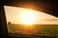 Paddy field with background sunset, view from the window car Royalty Free Stock Photo