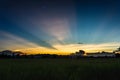 Paddy field Beautiful landscape Sunrise Sunset.