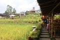 Paddy field cafe tour in Pujon, Malang district, East Java, Indonesia Royalty Free Stock Photo