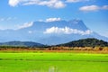 Paddy field and Mt. Kinabalu view in Kota Belud, Sabah. Royalty Free Stock Photo