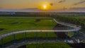 Paddy field painting. Royalty Free Stock Photo