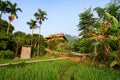 Paddy field and house in Vietnam Royalty Free Stock Photo