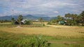 Paddy field scenery at Kampot Cambodia 3 Royalty Free Stock Photo
