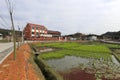 Paddy field of dineicun (dinei village )