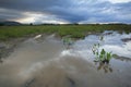 Paddy field in sunset with monsoon clouds