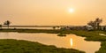 Paddy field in sunset time. Asian countryside landscape. Rural village scenery