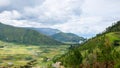 Paddy field in a valley