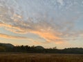 Paddy field wallpaper. Sunset wallpaper. Cloudy sky wallpaper