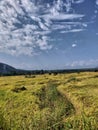 Paddy Fields With Blue Sky