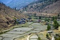 Paddy fields growing rice crops near the town of Thimphu is dried out during dry season of winter, Thimphu, Bhutan. Royalty Free Stock Photo