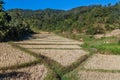 Paddy fields near Kalaw town, Myanm Royalty Free Stock Photo