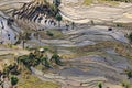 Paddy fields, Rice terraces. In Yunnan province Royalty Free Stock Photo