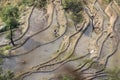 Paddy fields, Rice terraces. In Yunnan province Royalty Free Stock Photo