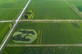 Paddy fields in a rural area of Huai `an city, Jiangsu Province, China