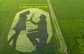 Paddy fields in a rural area of Huai `an city, Jiangsu Province, China