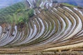 Paddy fileds, rice terrace in Yunnan province Royalty Free Stock Photo