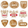 Paddy grain organic rice labels. Healthy food vector logos isolated