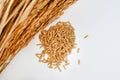 Paddy grains