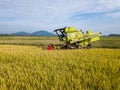 Paddy harvester reaping rice crop.