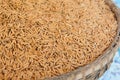 Paddy rice in bamboo basket Royalty Free Stock Photo