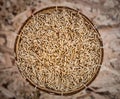 Paddy rice in basket closed up Royalty Free Stock Photo