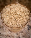 Paddy rice in basket closed up Royalty Free Stock Photo