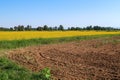 Paddy rice canal irrigation panorama landscape agriculture nature natural Po Valley Royalty Free Stock Photo