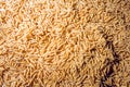 A Paddy rice close up top view Royalty Free Stock Photo