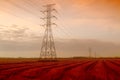 Paddy rice field with power cables Royalty Free Stock Photo