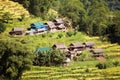 Paddy or rice field and primitive small houses in Nepal