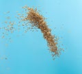 Paddy Rice grain fly in mid air. Yellow Golden Paddy Rice falling scatter, explosion float in shape form line group. Blue sky