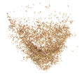 Paddy Rice grain fly in mid air. Yellow Golden Paddy Rice falling scatter, explosion float in shape form line group. White