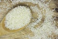 Paddy Rice isolated Royalty Free Stock Photo