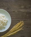 Paddy rice plant on grey wooden backgronud