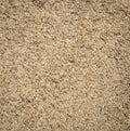 Paddy rice seed background Royalty Free Stock Photo