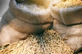 Paddy rice and rice seed in a bag with rice pile background Royalty Free Stock Photo