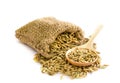 Paddy rice seed. Royalty Free Stock Photo