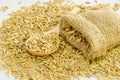 Paddy rice seed. Royalty Free Stock Photo