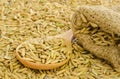 Paddy rice seed. Royalty Free Stock Photo