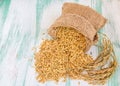 Paddy rice seed in a Burlap sack. Royalty Free Stock Photo